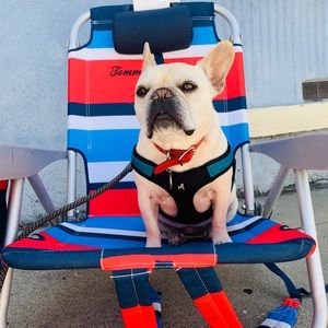 Meet your Posher, Julio